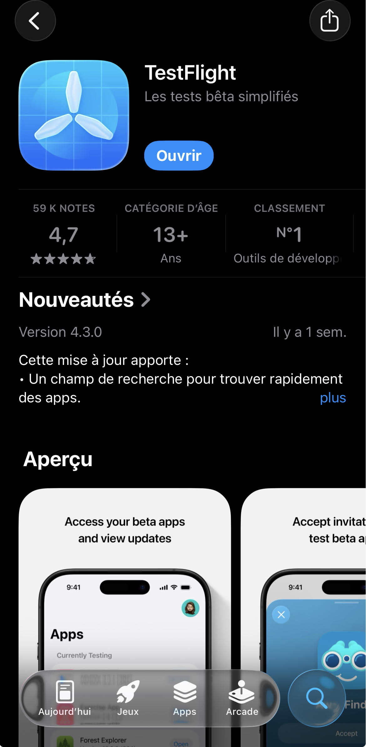 TestFlight app on the App Store